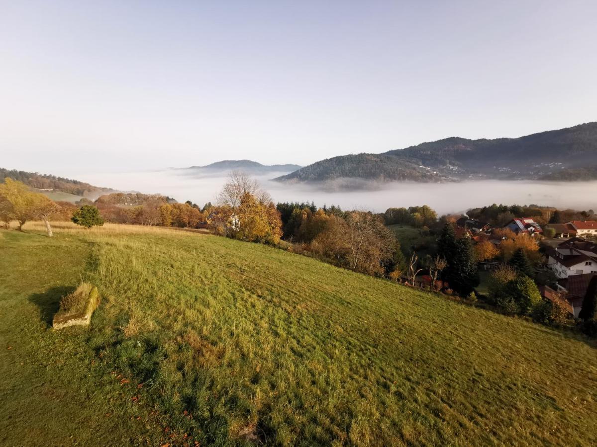 Haus Am Berg Mit Wellnessbereich, Bar Und Panorama Villa Buhlertal Ngoại thất bức ảnh