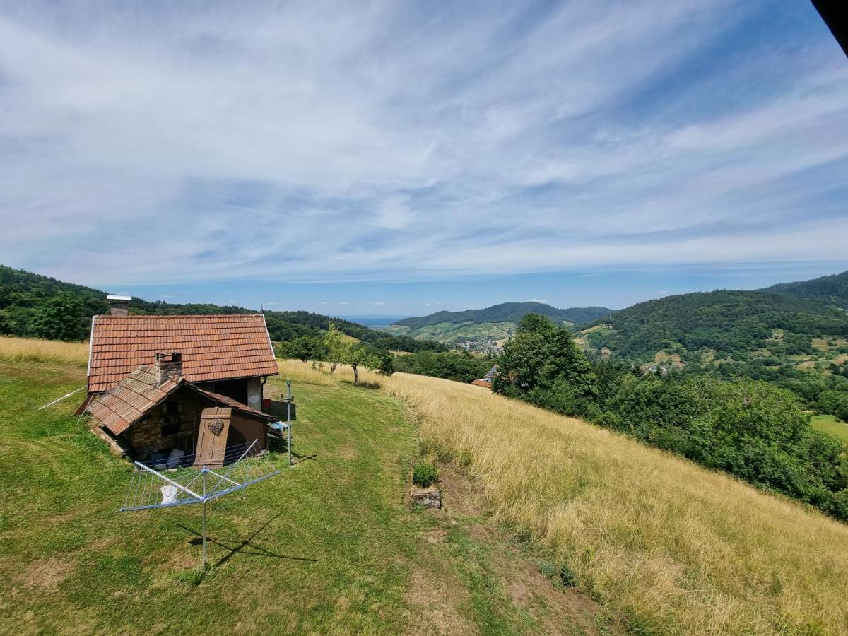 Haus Am Berg Mit Wellnessbereich, Bar Und Panorama Villa Buhlertal Ngoại thất bức ảnh